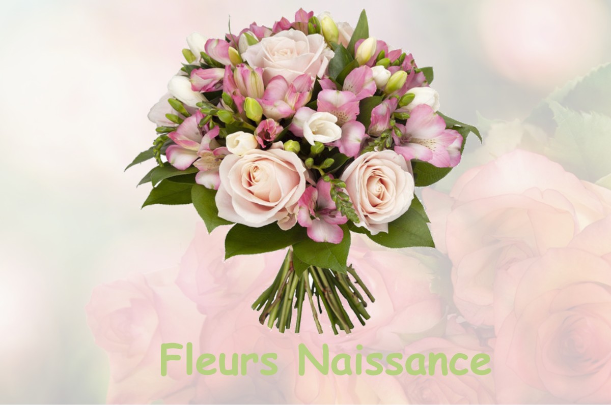 fleurs naissance SAUVETERRE-DE-ROUERGUE